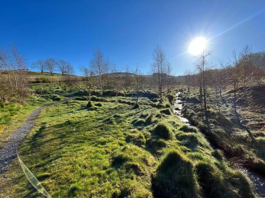 فيلا Snowdonia Escape Trawsfynydd المظهر الخارجي الصورة